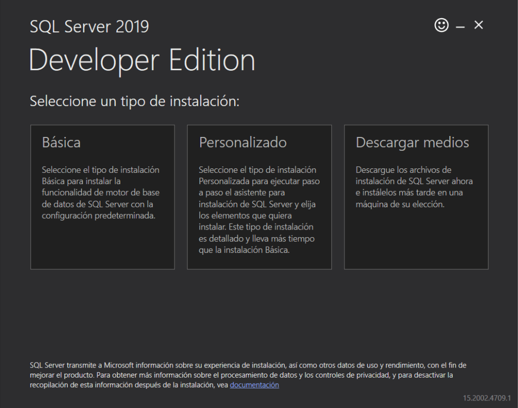sql server 2019 developer edition